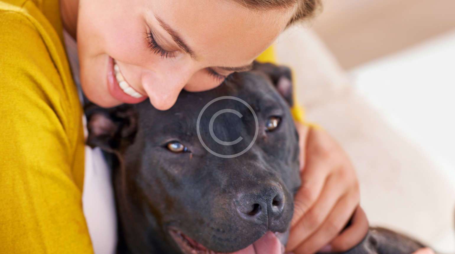 Heartworm: One Bite, One Infection, That’s Enough