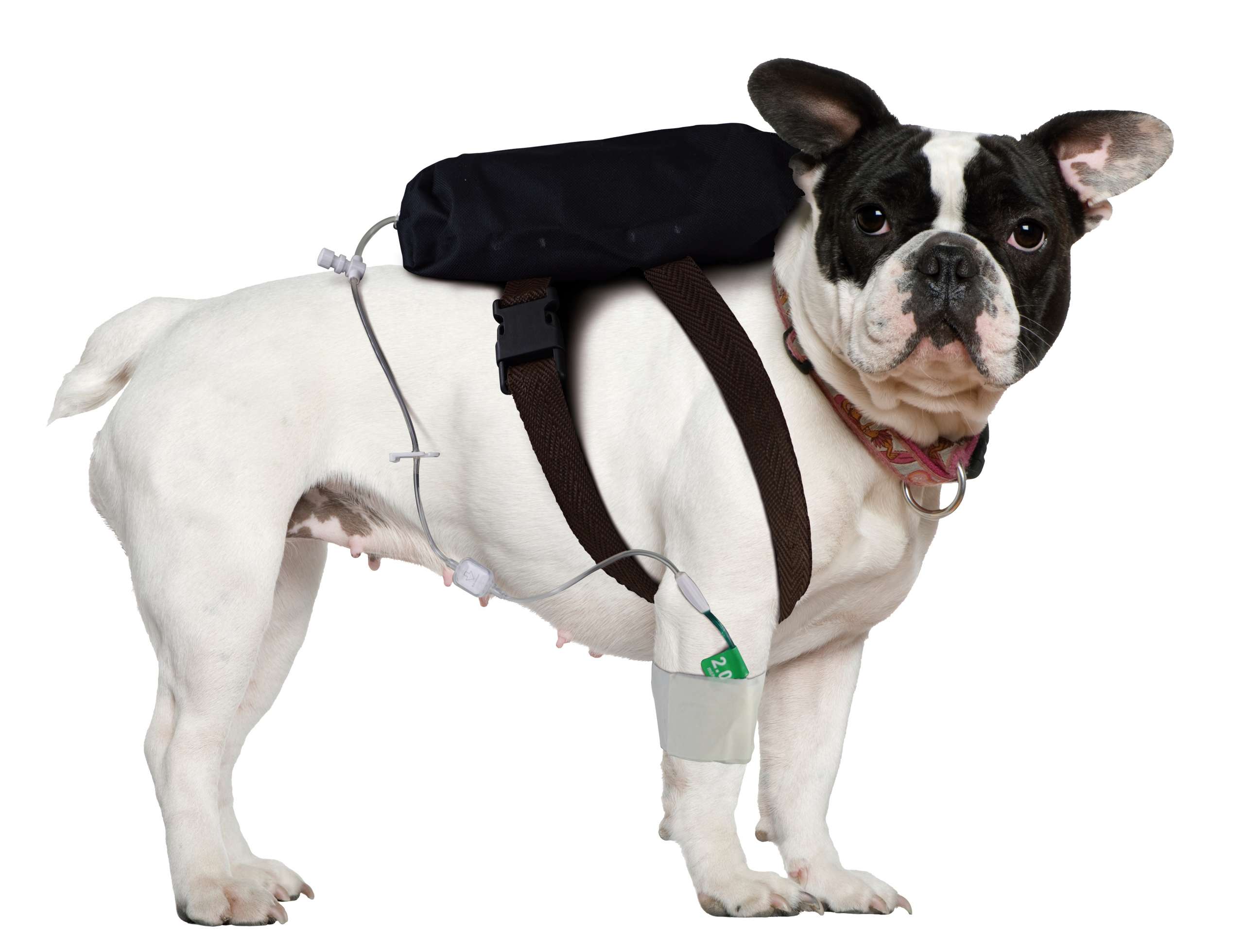 do_com_bolsa - Copia